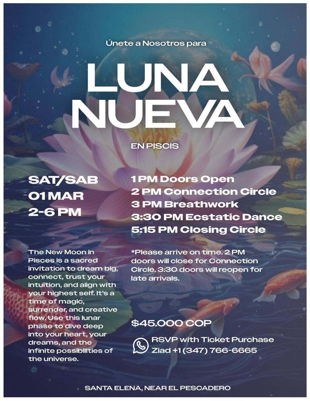 /events/2025-03-01-luna-nueva-piscis.jpeg